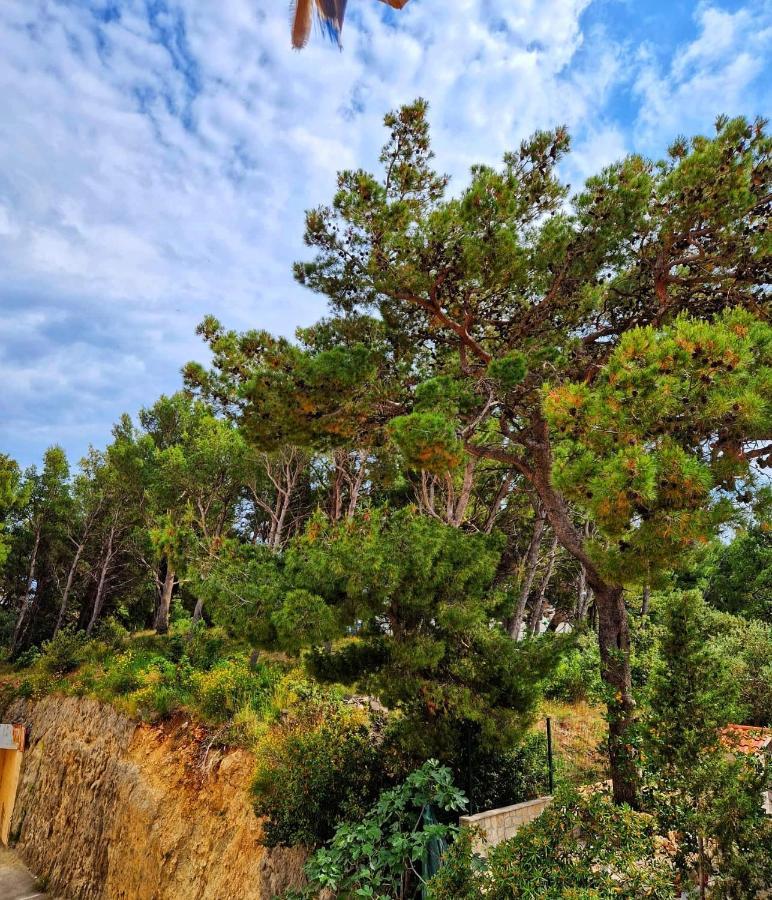 Apartman Mar18 Makarska Exterior foto